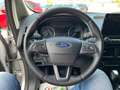 Ford EcoSport 1.0 BENZINA Titanium 125 CV AUTOMATICO!!!! Argento - thumbnail 10