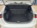 Kia Ceed / cee'd CEED_5 1.0T 48V DCT 100 ULTIMATE DES JBL Weiß - thumbnail 14