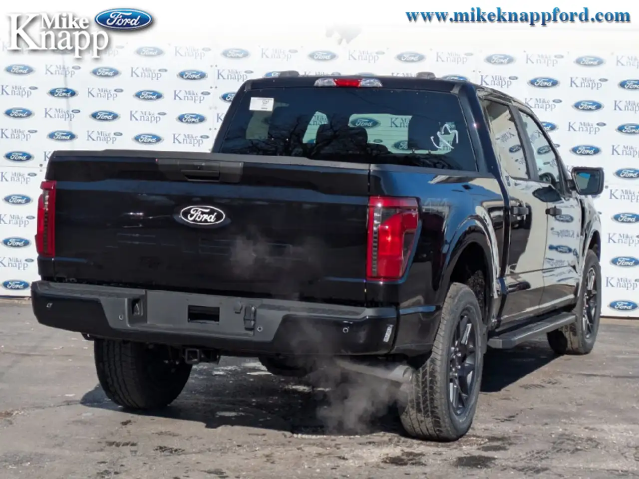 Ford F 150 снимка Ford F 150
