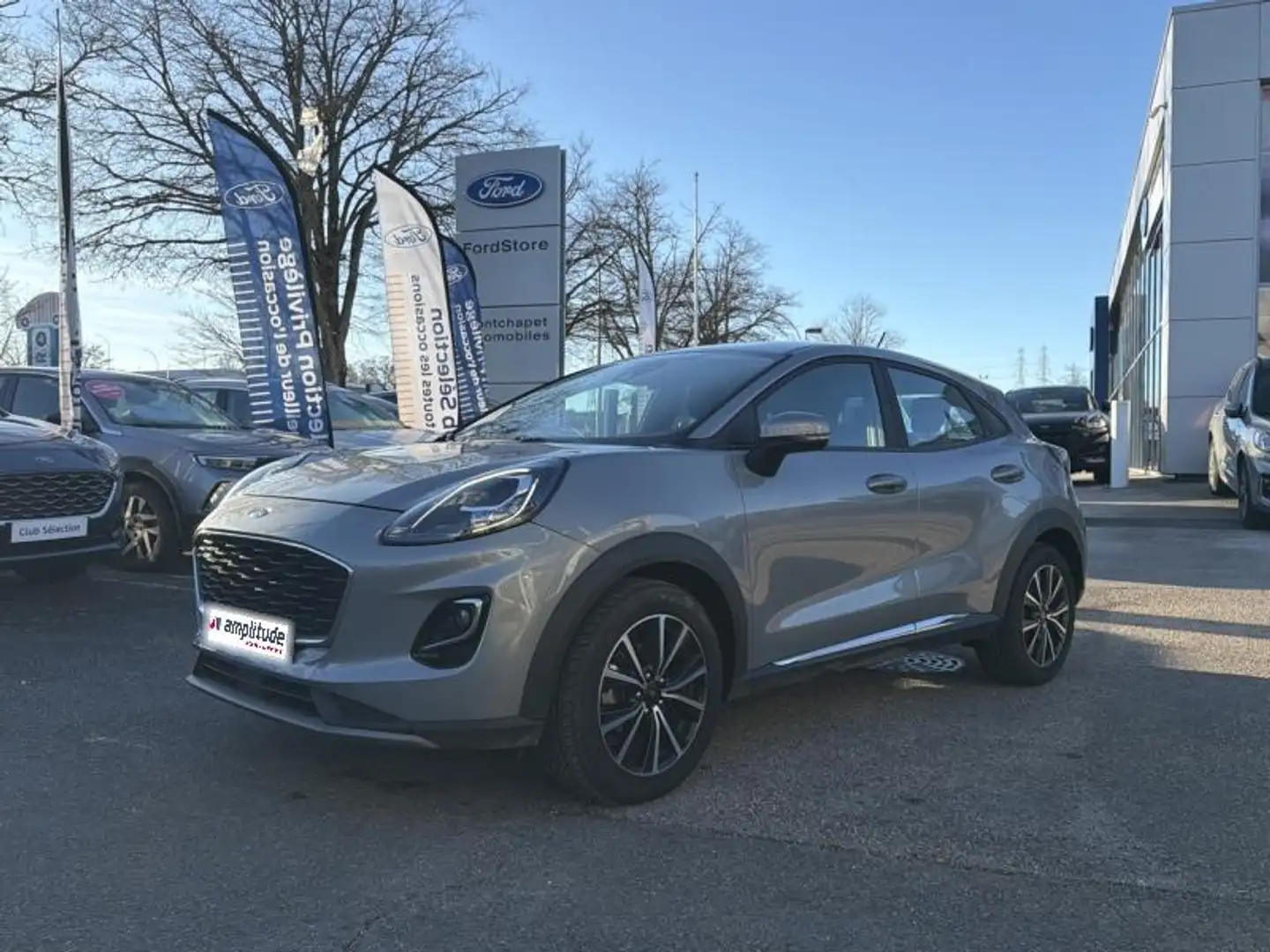 Ford Flex 1.0 Flexifuel 125ch S\u0026S mHEV Titanium Grau - 1