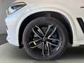 BMW X5 xDrive30d Aut. Weiß - thumbnail 15