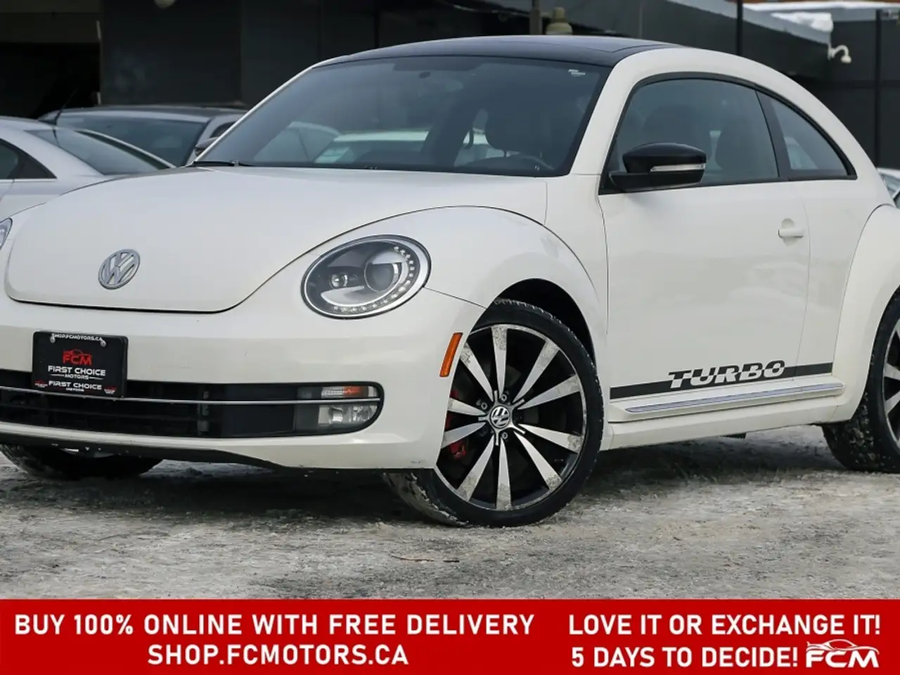 Volkswagen Beetle снимка Volkswagen Beetle