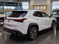 Lexus UX 300h F Sport Design ACC FLA SpurH LM Bianco - thumbnail 6