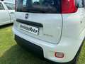 Fiat Panda Panda 1.0 FireFly S&S Hybrid City Life Blanco - thumbnail 8