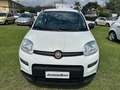 Fiat Panda Panda 1.0 FireFly S&S Hybrid City Life Blanco - thumbnail 4
