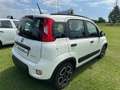Fiat Panda Panda 1.0 FireFly S&S Hybrid City Life Blanco - thumbnail 7