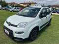 Fiat Panda Panda 1.0 FireFly S&S Hybrid City Life Blanco - thumbnail 3