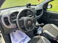 Fiat Panda Panda 1.0 FireFly S&S Hybrid City Life Blanco - thumbnail 12