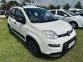 Fiat Panda Panda 1.0 FireFly S&S Hybrid City Life Blanco - thumbnail 5