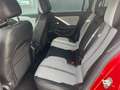Opel Astra 1.5 T Diesel 130 CV AT8 OMOLOG N1  Bus. Eleganc Rosso - thumbnail 6