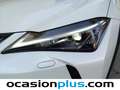 Lexus UX 250h Business 2WD Blanco - thumbnail 13