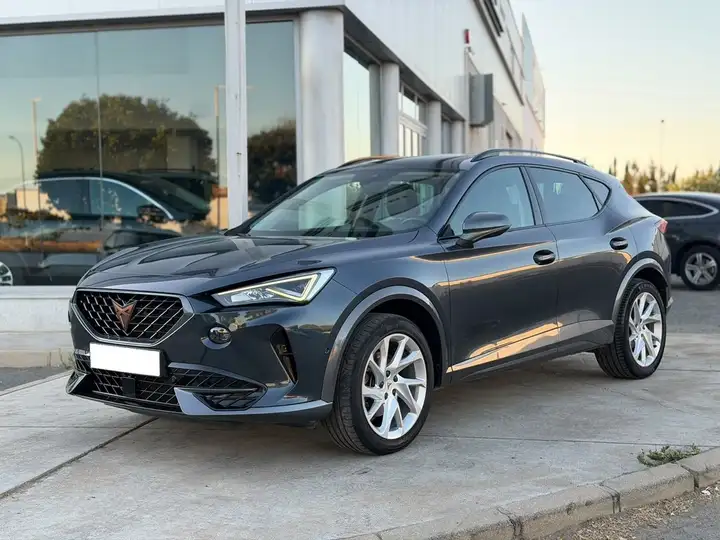 Cupra Formentor 1.5 TSI DSG 2022