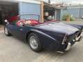 Daimler Dart SP250 Azul - thumbnail 21