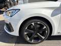 CUPRA Leon ST 2.0 TSI DSG Totwinkelassistent,LED,Navi Klima Weiß - thumbnail 3