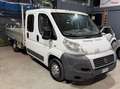 Fiat Ducato 7 posti IVA INCLUSA Bianco - thumbnail 3