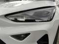 CUPRA Formentor FORMENTOR 1.5 TSI NAVI SITZHZG. 360-GRAD-KAMERA Blanco - thumbnail 17