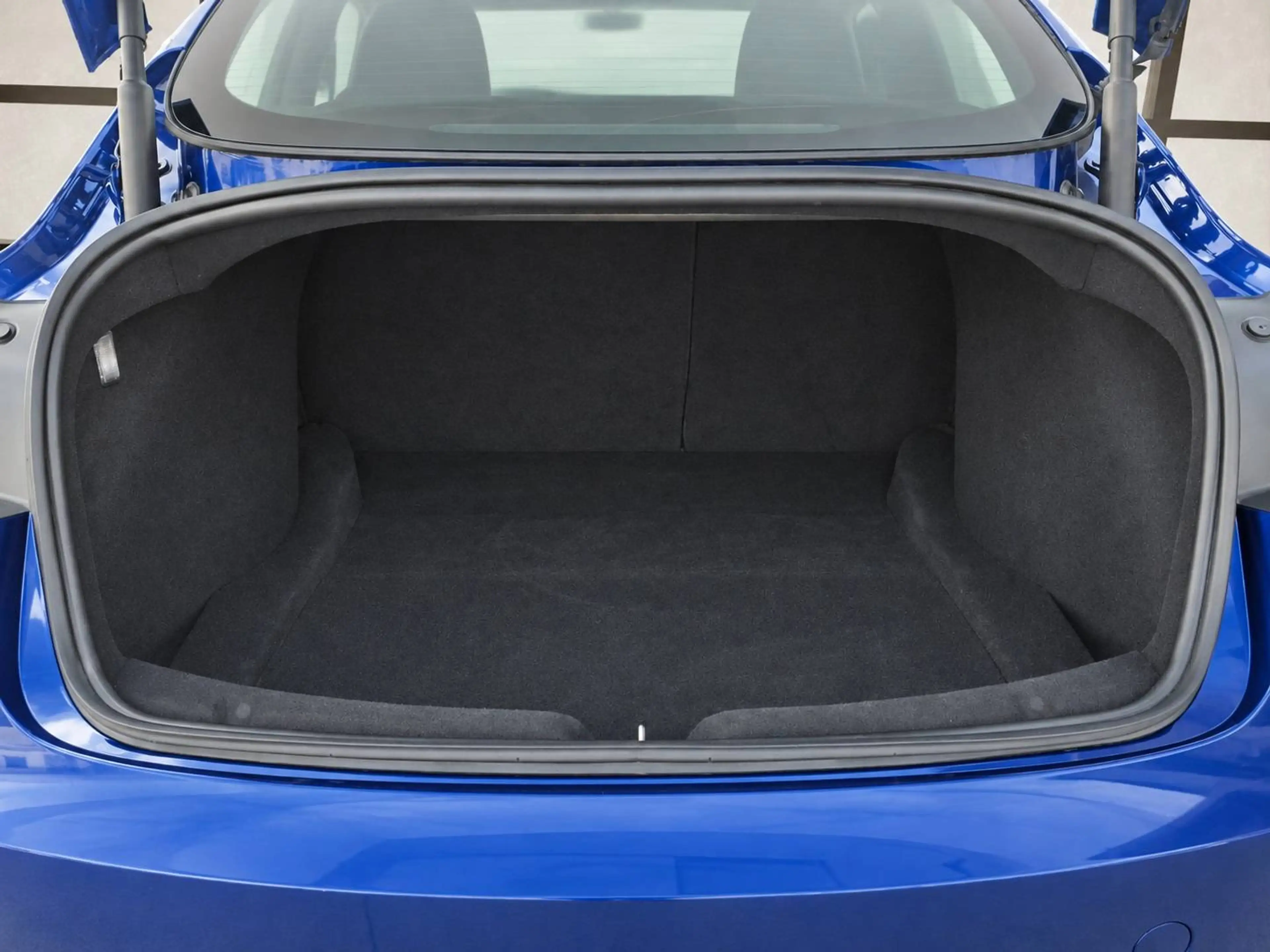 Tesla Model 3 Model 3 Long Range RWD 79kWh — photo 5