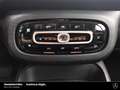 smart forTwo fortwo EQ passion 22kW-Lader Plus-P. Cool&Audio Blanc - thumbnail 19