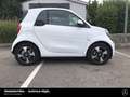 smart forTwo fortwo EQ passion 22kW-Lader Plus-P. Cool&Audio Weiß - thumbnail 7