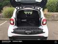 smart forTwo fortwo EQ passion 22kW-Lader Plus-P. Cool&Audio Blanc - thumbnail 12