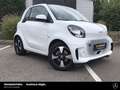 smart forTwo fortwo EQ passion 22kW-Lader Plus-P. Cool&Audio Blanc - thumbnail 5