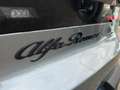 Alfa Romeo Junior 1.2 ibrida 145cv edct6 Gris - thumbnail 9