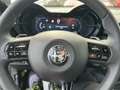 Alfa Romeo Junior 1.2 ibrida 145cv edct6 Gris - thumbnail 15
