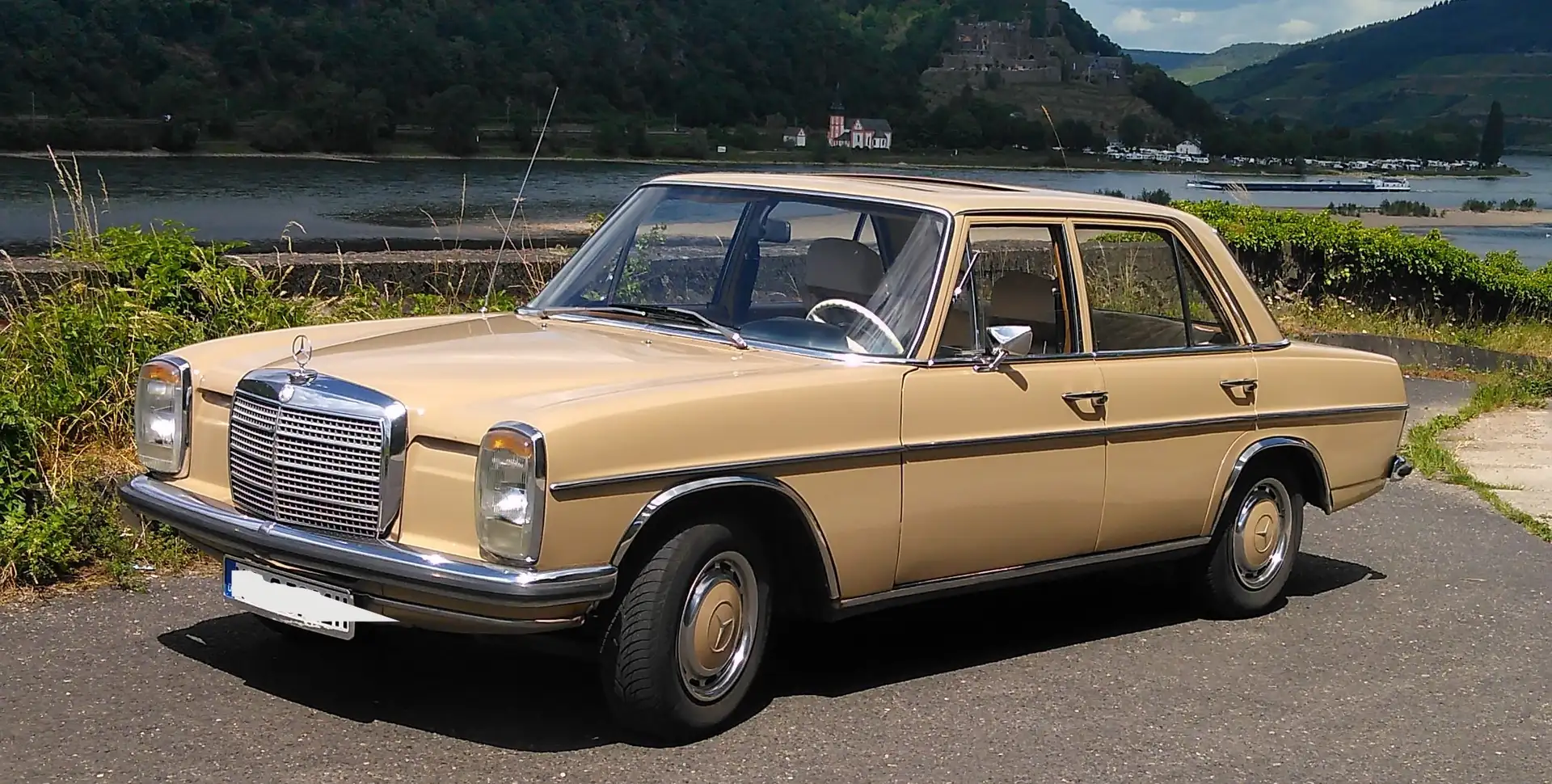 Mercedes-Benz Strich 8 Bej - 1