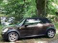 MINI One Cabrio One Cabrio 1.6 Bruin - thumbnail 13