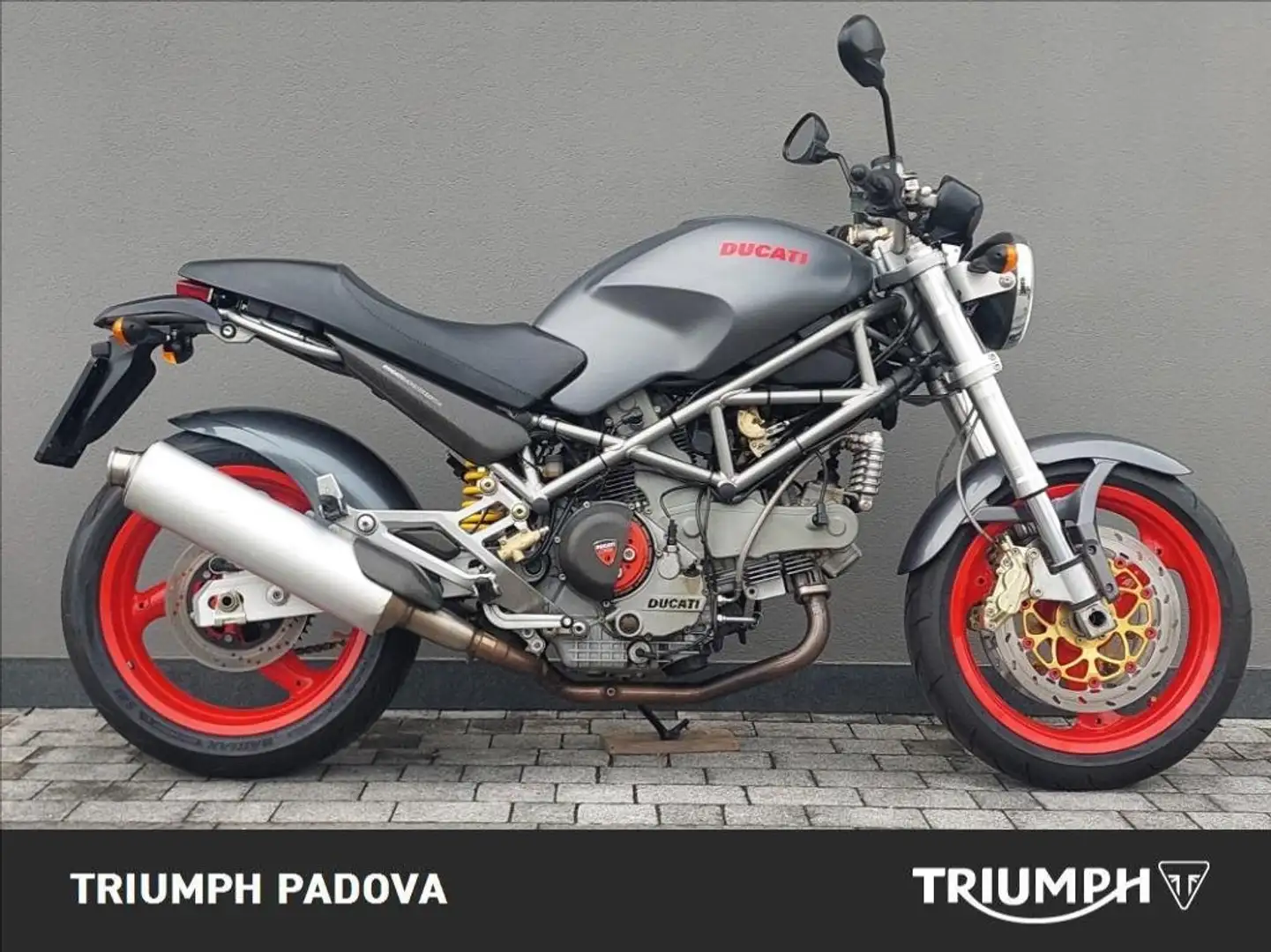 Ducati Multistrada 1000 S Gris - 1