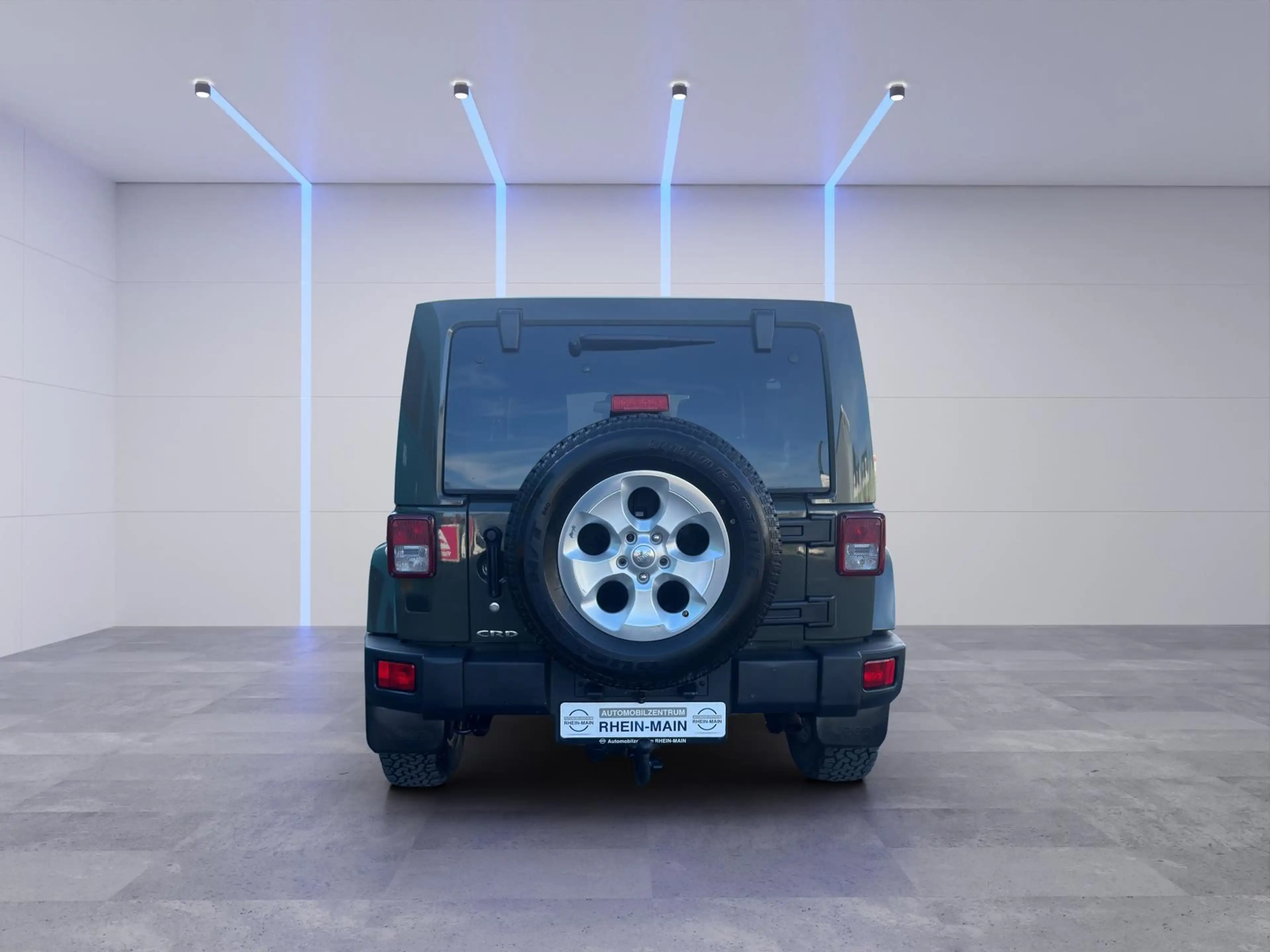 Jeep Wrangler NATO GRÜN LEDER R-KAM SEILWND BF GOODRICH — photo 4