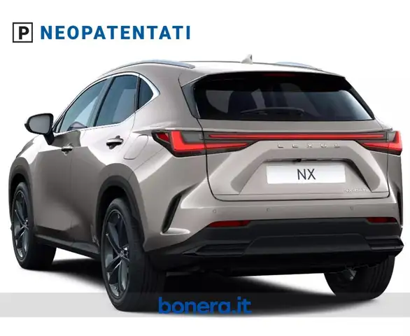 Lexus NX view 3