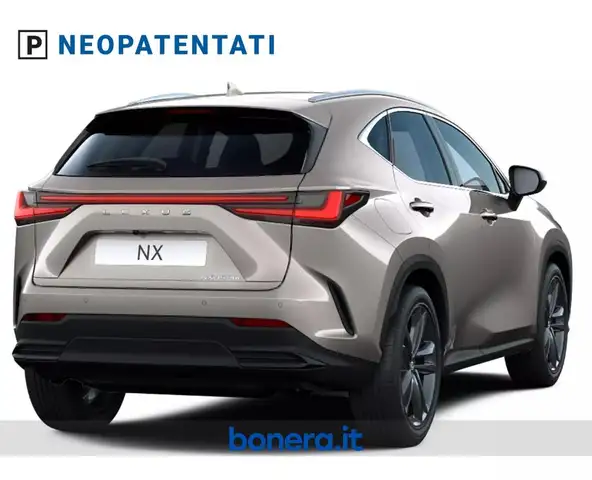 Lexus NX view 4