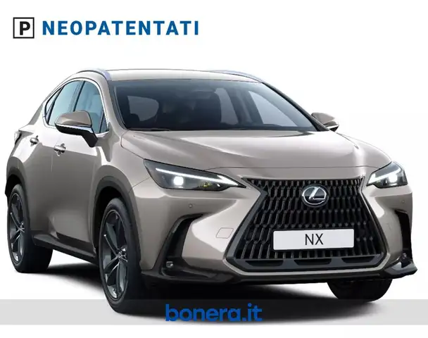 Lexus NX view 2