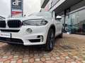 BMW X5 X5 F15 xdrive30d Luxury 258cv auto Bianco - thumbnail 3