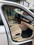 BMW X5 X5 F15 xdrive30d Luxury 258cv auto Bianco - thumbnail 13