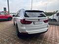 BMW X5 X5 F15 xdrive30d Luxury 258cv auto Bianco - thumbnail 5