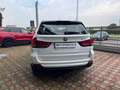 BMW X5 X5 F15 xdrive30d Luxury 258cv auto Bianco - thumbnail 9