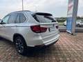 BMW X5 X5 F15 xdrive30d Luxury 258cv auto Bianco - thumbnail 6