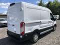 Ford Transit Kasten L2H2 Trend 2.0 TDCi Euro6 Weiß - thumbnail 3