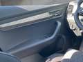 Skoda Karoq 4x4 Selection TDI DSG Blau - thumbnail 12