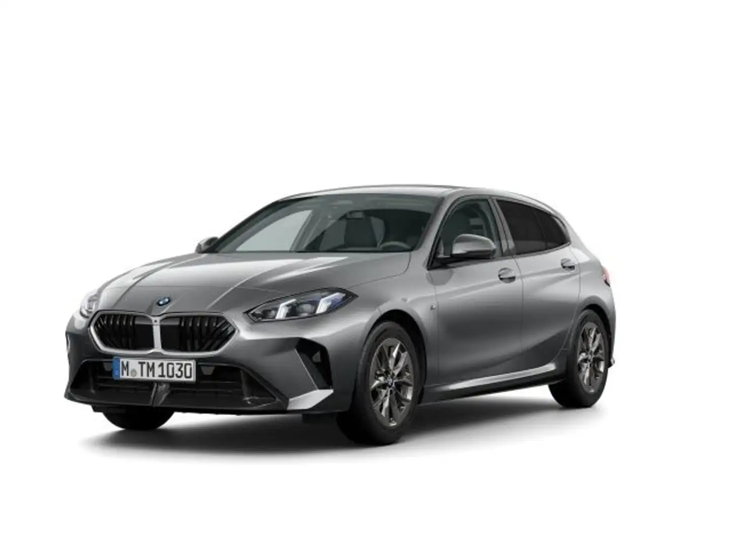 BMW 120 M Sport Navi Klima PDC Kamera Harman K. Head Grau - 1