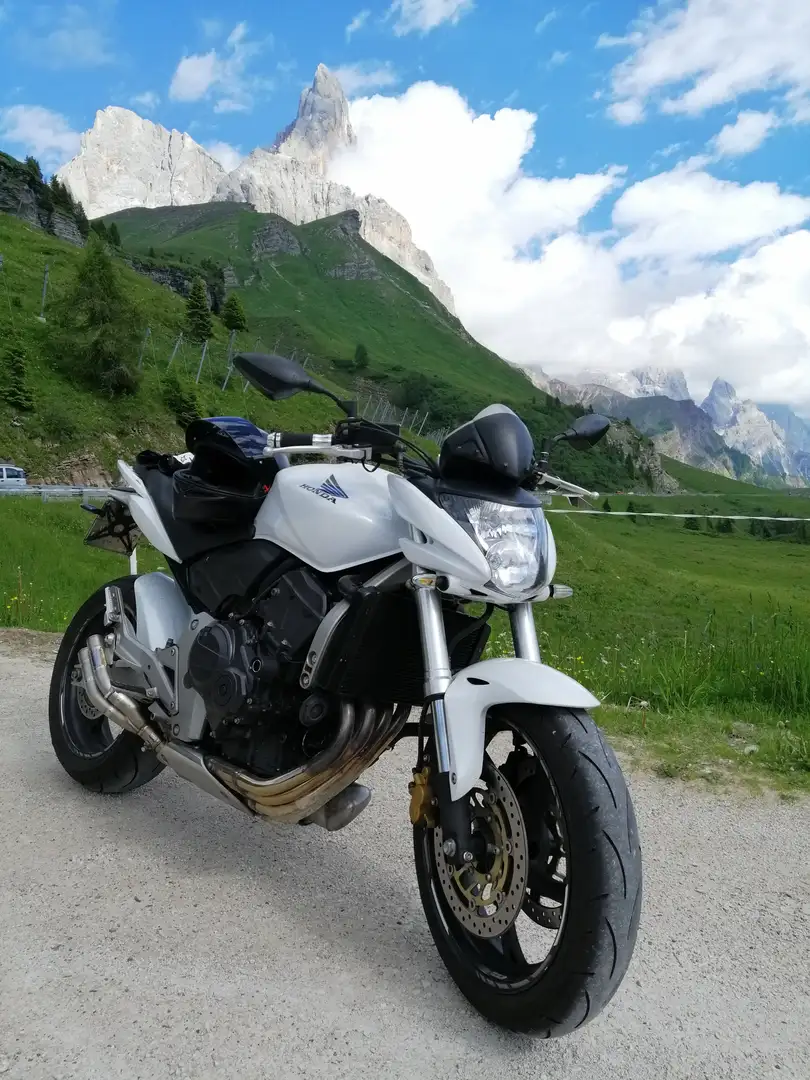 Honda Hornet 600 Bianco - 2