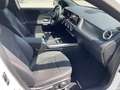 Mercedes-Benz GLA 200 AMG Line Advanced Plus auto KEYLESS /MULTIBEAM LED Weiß - thumbnail 9