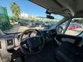 Peugeot Boxer Solo Telaio EURO 6 Bianco - thumbnail 7
