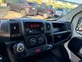 Peugeot Boxer Solo Telaio EURO 6 Bianco - thumbnail 9