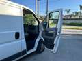 Fiat Ducato 33 2.3 MJT PM-TN Furgone Blanco - thumbnail 17