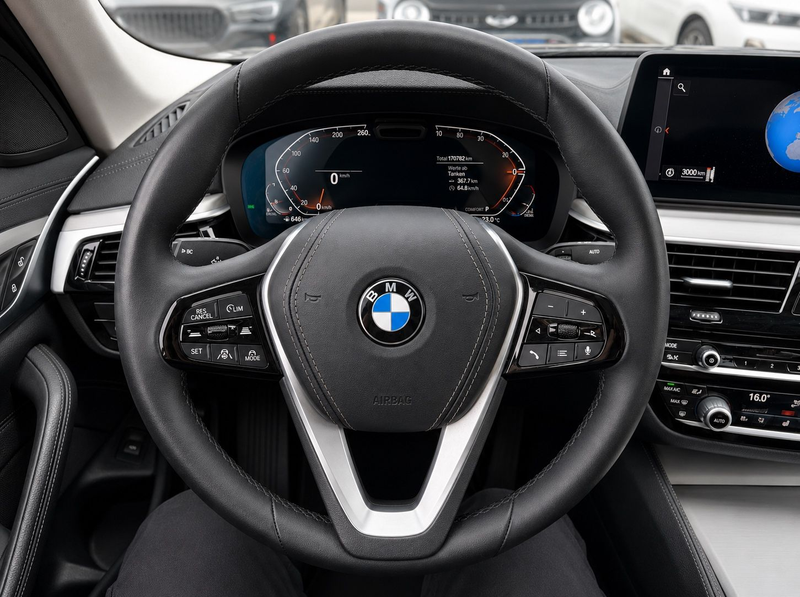 BMW 530 Limousine Mild-Hybrid xDrive Luxury Line — photo 8
