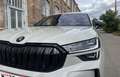 Skoda Kodiaq Sportline 7-Stizer Erstbesitz 8-Fach Bereift Grau - thumbnail 4