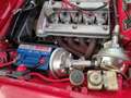 Alfa Romeo GTV Bertone Czerwony - thumbnail 7